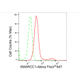 KD-Validated SMARCC1 Rabbit mAb (20 μl)