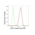 KD-Validated STAT1 Rabbit mAb (20 μl)