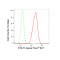KD-Validated STAT1 Rabbit mAb (20 μl)