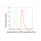 KD-Validated Phospho-STAT1 (S727) Rabbit mAb (20 μl)
