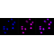 KD-Validated SUPT5H Rabbit mAb (20 μl)