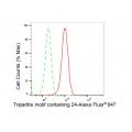 KD-Validated TRIM24 Rabbit mAb (20 μl)