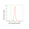 KD-Validated UFC1 Rabbit mAb (20 μl)