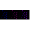 KD-Validated UFC1 Rabbit mAb (20 μl)
