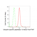 KD-Validated USP13 Rabbit mAb (20 μl)