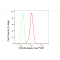 KD-Validated VPS35 Rabbit mAb (20 μl)