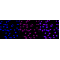 KD-Validated VPS35 Rabbit mAb (20 μl)