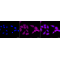 KD-Validated Atg4C Rabbit mAb (20 μl)