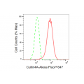 KD-Validated Cullin4A Rabbit mAb (20 μl)