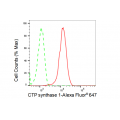 KD-Validated CTPS1 Rabbit mAb (20 μl)