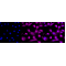 KD-Validated Phospho-GSK3A (Y216 + Y279) Rabbit mAb (20 μl)