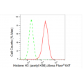 KD-Validated Histone H3 (acetyl K56) Rabbit mAb (20 μl)