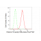 KD-Validated Histone H3 (acetyl K56) Rabbit mAb (20 μl)