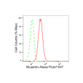 KD-Validated Nicastrin Rabbit mAb (20 μl)