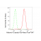 KD-Validated Histone H3 (acetyl K9) Rabbit mAb (20 μl)