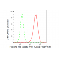 KD-Validated Histone H3 (acetyl K18) Rabbit mAb (20 μl)