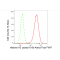 KD-Validated Histone H3 (acetyl K18) Rabbit mAb (20 μl)
