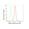 KD-Validated HAUS7 Rabbit mAb (20 μl)
