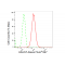KD-Validated HAUS7 Rabbit mAb (20 μl)