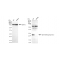 KD-Validated HMGB2 Rabbit mAb (20 μl)