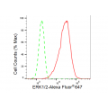 KD-Validated ERK1/2 Rabbit mAb (20 μl)