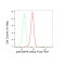 KD-Validated p38 MAPK Rabbit mAb (20 μl)