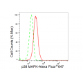 KD-Validated p38 MAPK Rabbit mAb (20 μl)