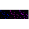 KD-Validated p38 MAPK Rabbit mAb (20 μl)