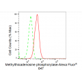 KD-Validated MTAP Rabbit mAb (20 μl)