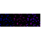 KD-Validated NDEL1 Rabbit mAb (20 μl)