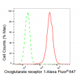 KD-Validated OXGR1 Rabbit mAb (20 μl)