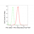 KD-Validated PRKCD Rabbit mAb (20 μl)