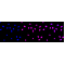 KD-Validated QKI Rabbit mAb (20 μl)