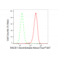 KD-Validated RAD51 Rabbit mAb (20 μl)