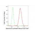 KD-Validated SMS Rabbit mAb (20 μl)