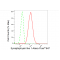 KD-Validated SYPL1 Rabbit mAb (20 μl)