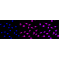 KD-Validated SYPL1 Rabbit mAb (20 μl)