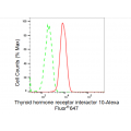 KD-Validated TRIP10 Rabbit mAb (20 μl)
