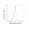 KD-Validated TSFM Rabbit mAb (20 μl)