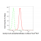 KD-Validated ACAT2 Rabbit mAb (20 μl)