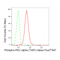 KD-Validated Phospho-PKCA (T497) Rabbit mAb (20 μl)