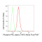 KD-Validated Phospho-PKCA (T497) Rabbit mAb (20 μl)