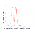 KD-Validated RUNX1/RUNX2/RUNX3 Rabbit mAb (20 μl)