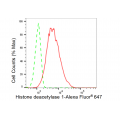 KD-Validated HDAC1 Rabbit mAb (20 μl)