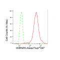 KD-Validated HNRNPK Rabbit mAb (20 μl)