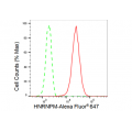 KD-Validated HNRNPM Rabbit mAb (20 μl)