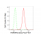 KD-Validated HNRNPM Rabbit mAb (20 μl)