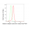 KD-Validated KATNA1 Rabbit mAb (20 μl)