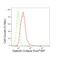 KD-Validated GAL3 Rabbit mAb (20 μl)