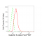 KD-Validated GAL3 Rabbit mAb (20 μl)